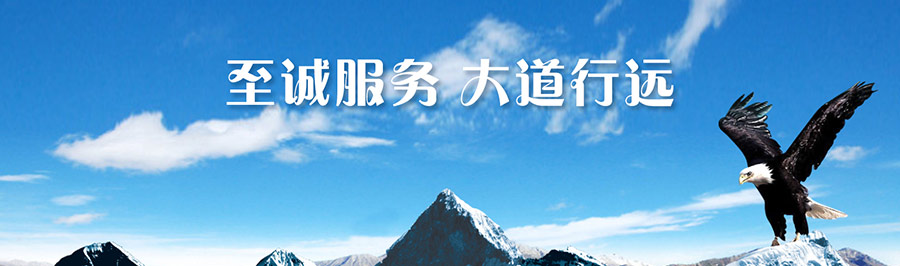 关于狼群在线观看免费(图1)